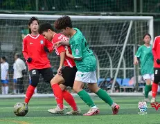 足球界推动女子赛事热潮的简单介绍 足球界推动女子赛事热潮的简单介绍